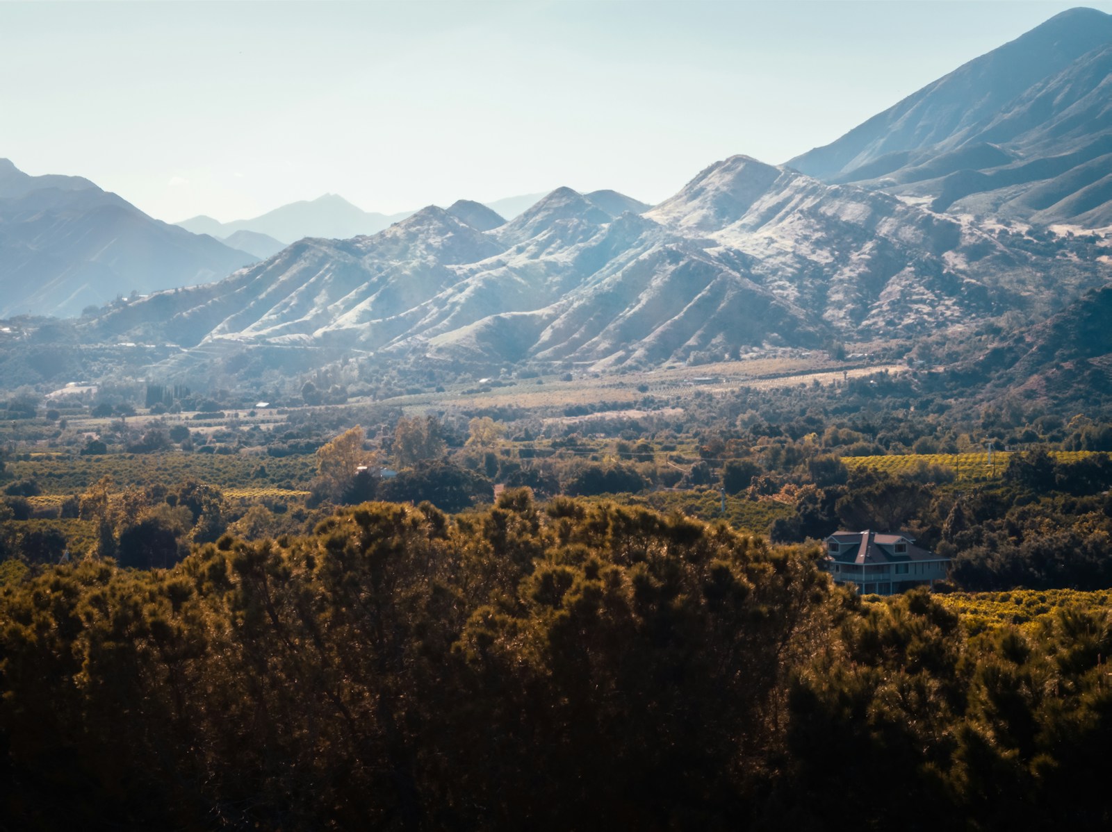 Mountains and orchards in Ojai Valley, California